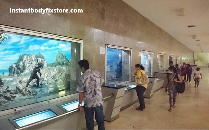 Museum Terbaik Di Kota Jakarta, Wajib Kalian Kunjungi